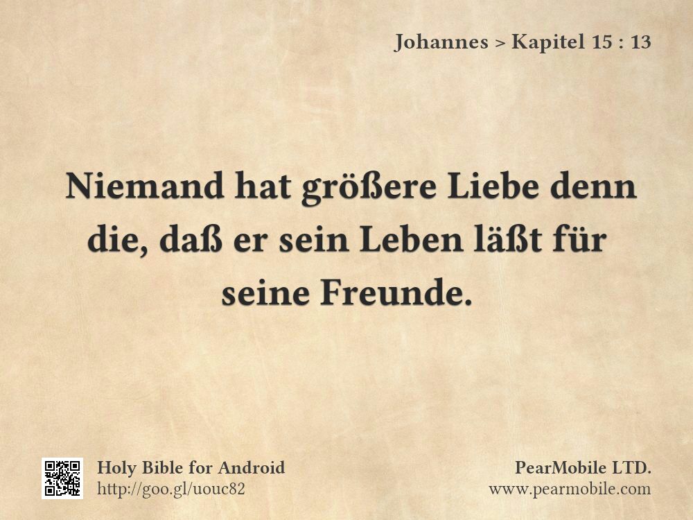 Johannes, Kapitel 15:13